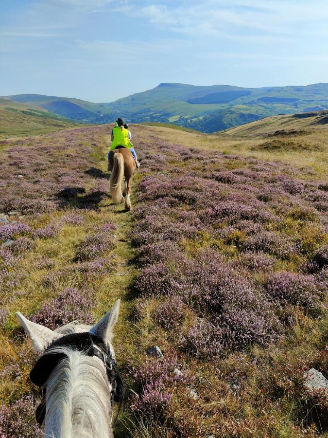 Hotel Pentre Riding Stables Abercraf Exterior foto