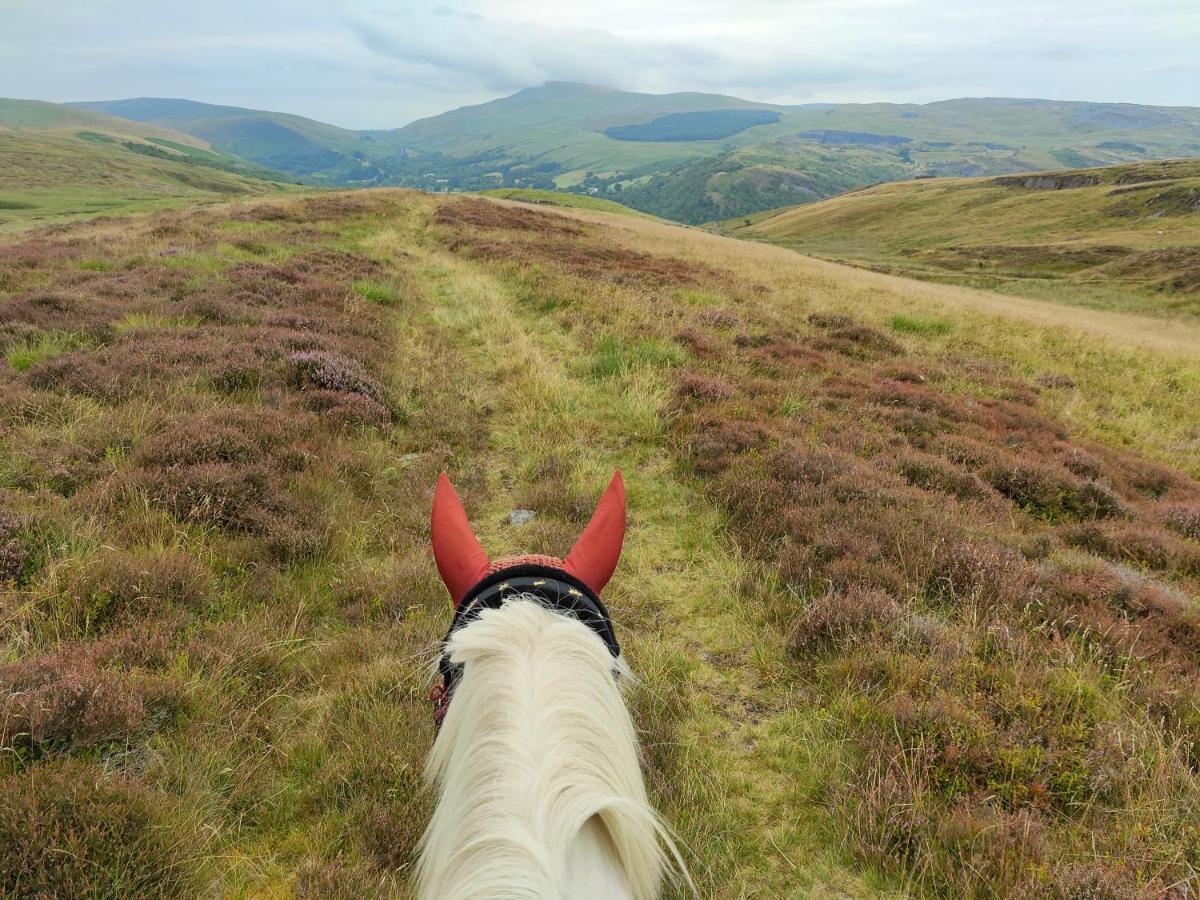 Hotel Pentre Riding Stables Abercraf Exterior foto